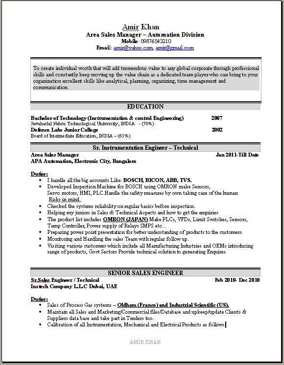 German resume sample